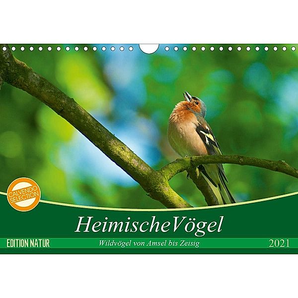 Heimische Vögel (Wandkalender 2021 DIN A4 quer), Ralf Mooß