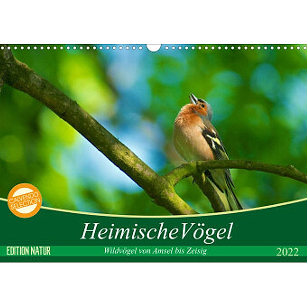 Heimische Vögel (Wandkalender 2022 DIN A3 quer), Ralf Mooß