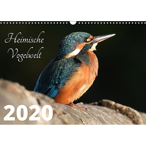 Heimische Vogelwelt - 2020 (Wandkalender 2020 DIN A3 quer), Peter Miadok