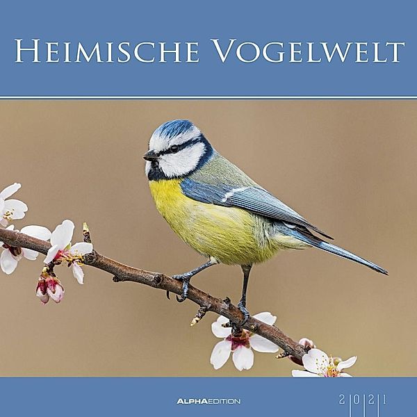 Heimische Vogelwelt 2021