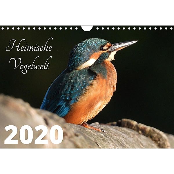 Heimische Vogelwelt - 2021 (Wandkalender 2021 DIN A4 quer), Peter Miadok