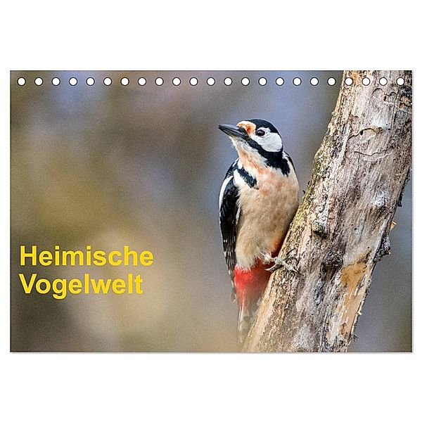 Heimische Vogelwelt (Tischkalender 2024 DIN A5 quer), CALVENDO Monatskalender, Gerhard Käfer