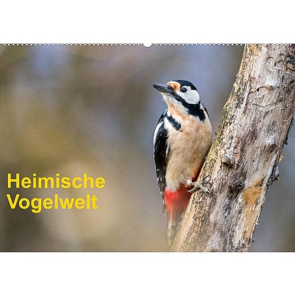 Heimische Vogelwelt (Wandkalender 2023 DIN A2 quer), Gerhard Käfer