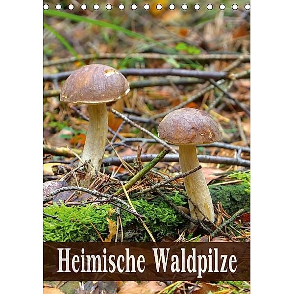 Heimische Waldpilze (Tischkalender 2018 DIN A5 hoch), LianeM