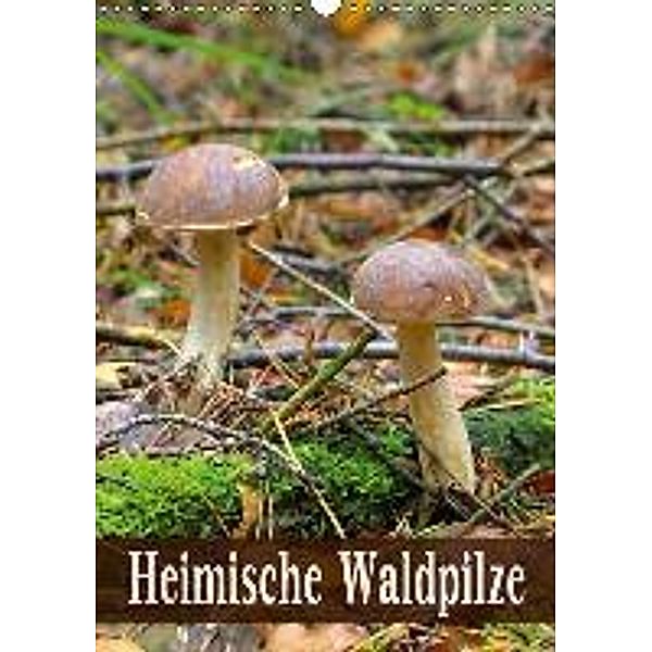 Heimische Waldpilze (Wandkalender 2015 DIN A3 hoch), LianeM