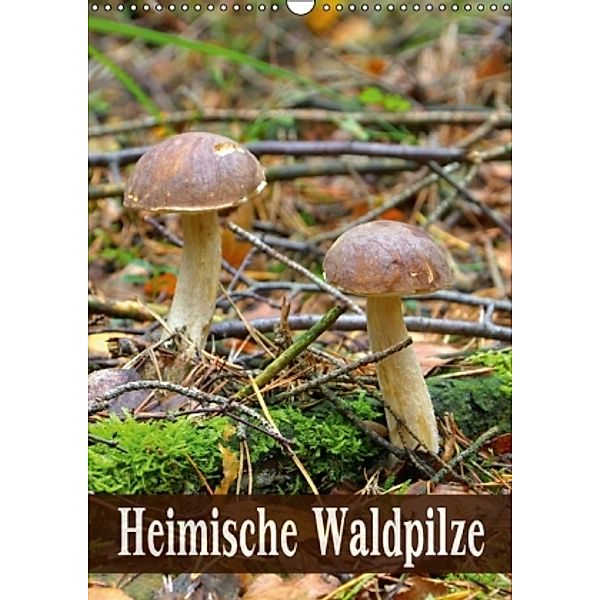 Heimische Waldpilze (Wandkalender 2016 DIN A3 hoch), LianeM