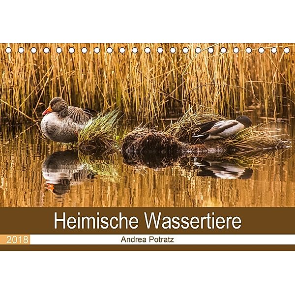 Heimische Wassertiere (Tischkalender 2018 DIN A5 quer), Andrea Potratz