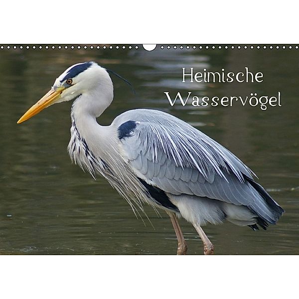 Heimische Wasservögel (Wandkalender 2014 DIN A3 quer), kattobello