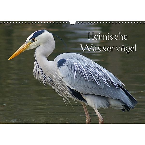 Heimische Wasservögel (Wandkalender 2018 DIN A3 quer), kattobello