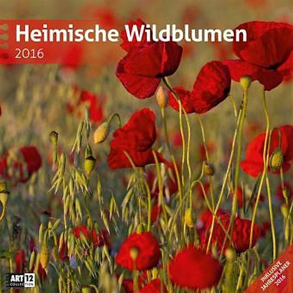 Heimische Wildblumen (30 x 30 cm) 2016