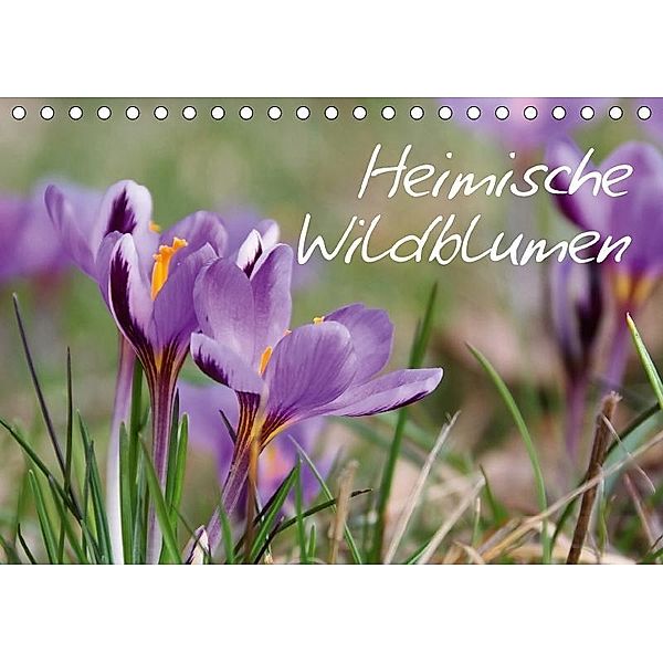 Heimische Wildblumen (Tischkalender 2017 DIN A5 quer), LianeM