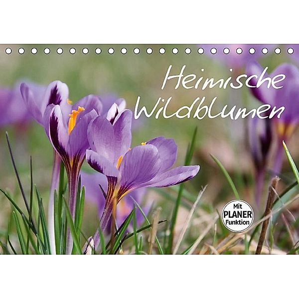 Heimische Wildblumen (Tischkalender 2017 DIN A5 quer), LianeM