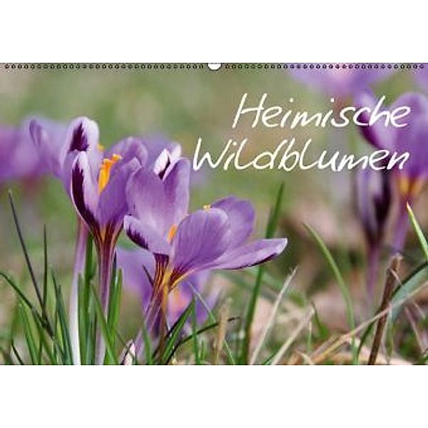 Heimische Wildblumen (Wandkalender 2015 DIN A2 quer), LianeM