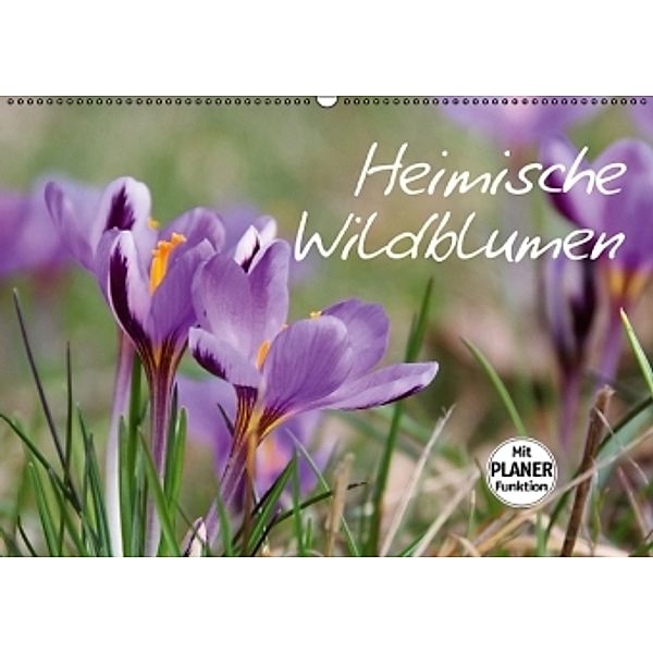 Heimische Wildblumen (Wandkalender 2016 DIN A2 quer), LianeM