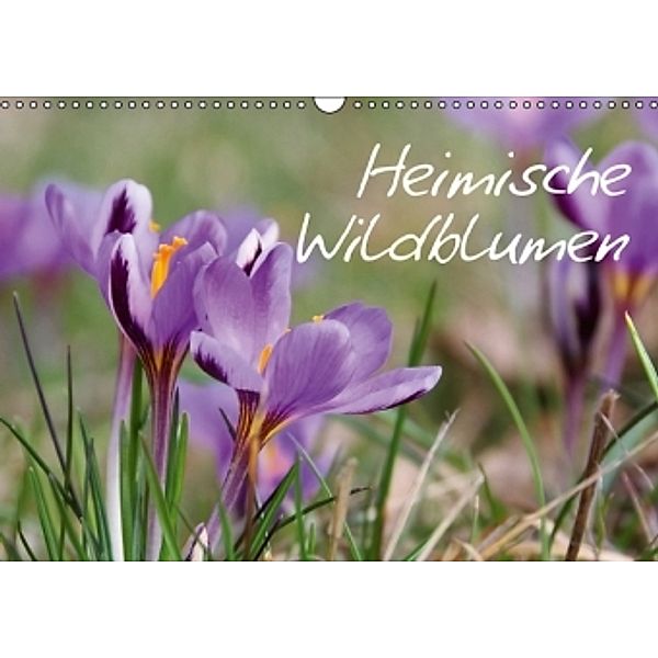 Heimische Wildblumen (Wandkalender 2016 DIN A3 quer), LianeM