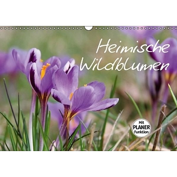 Heimische Wildblumen (Wandkalender 2016 DIN A3 quer), LianeM