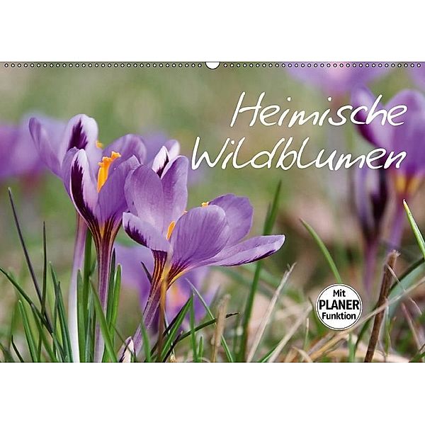 Heimische Wildblumen (Wandkalender 2017 DIN A2 quer), LianeM