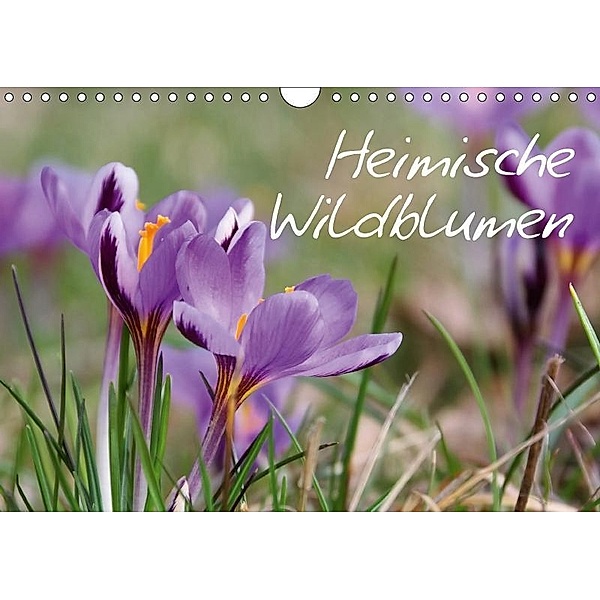 Heimische Wildblumen (Wandkalender 2017 DIN A4 quer), LianeM