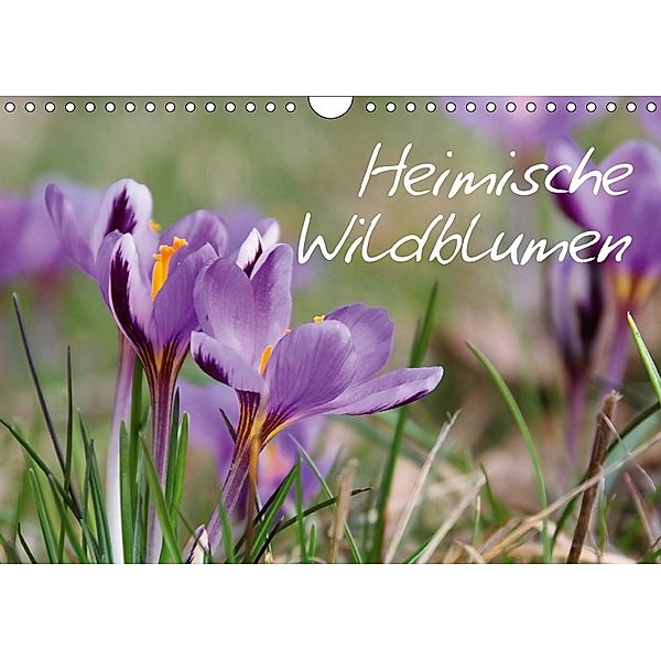 Heimische Wildblumen (Wandkalender 2018 DIN A4 quer), LianeM