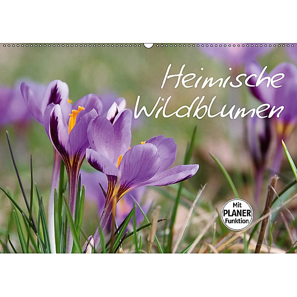 Heimische Wildblumen (Wandkalender 2019 DIN A2 quer), LianeM