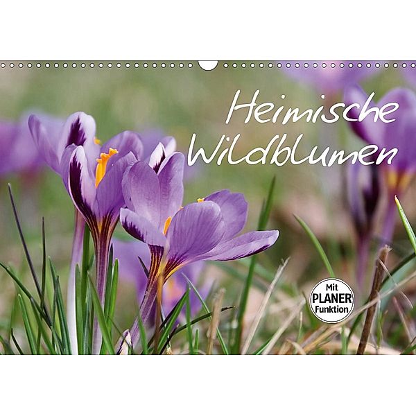 Heimische Wildblumen (Wandkalender 2020 DIN A3 quer)