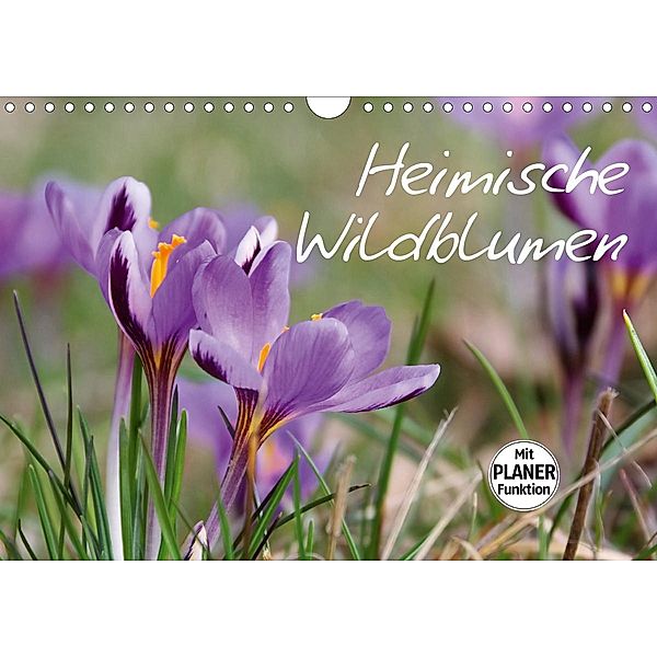 Heimische Wildblumen (Wandkalender 2021 DIN A4 quer), LianeM