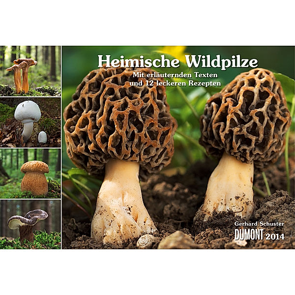 Heimische Wildpilze, Broschürenkalender 2014, Gerhard Schuster