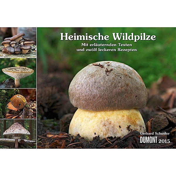 Heimische Wildpilze Kalender 2015, Gerhard Schuster