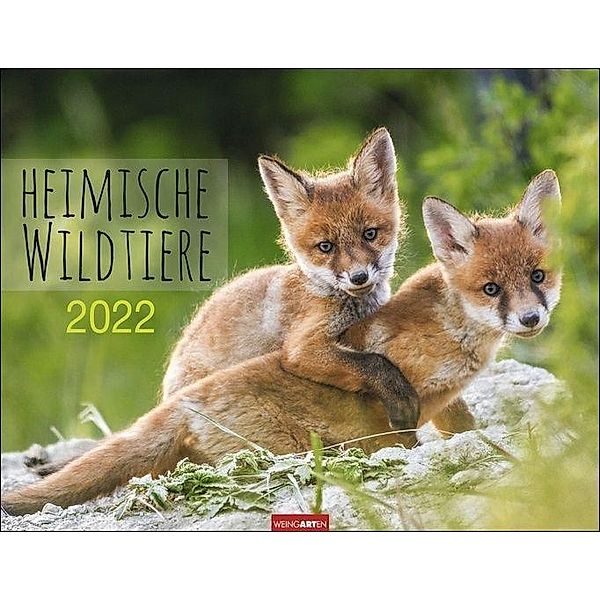 Heimische Wildtiere 2022