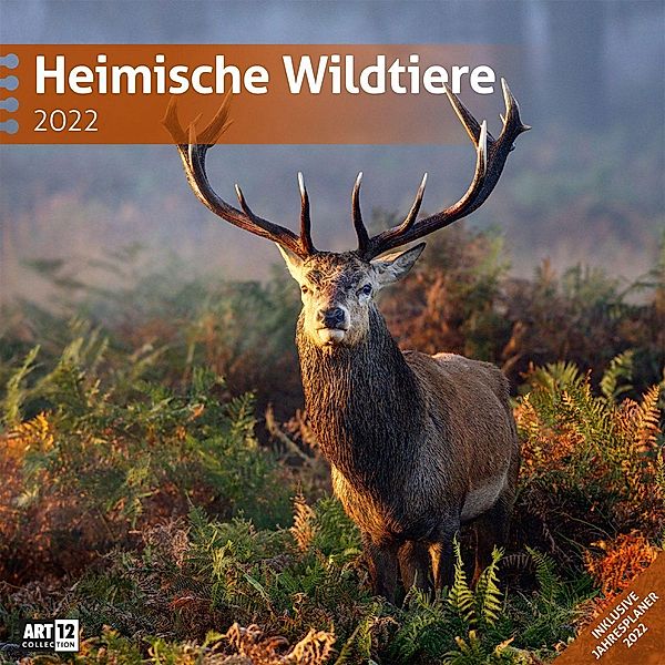 Heimische Wildtiere Kalender 2022 - 30x30