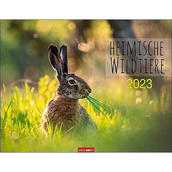 Heimische Wildtiere Kalender 2023. Von Igel bis Wildschein: Naturkalender im Großformat mit heimischen Arten. Posterkale