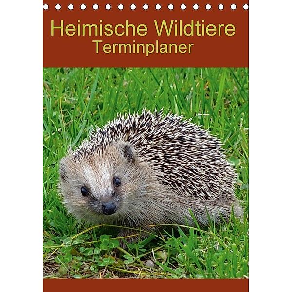 Heimische Wildtiere Terminplaner (Tischkalender 2017 DIN A5 hoch), Kattobello