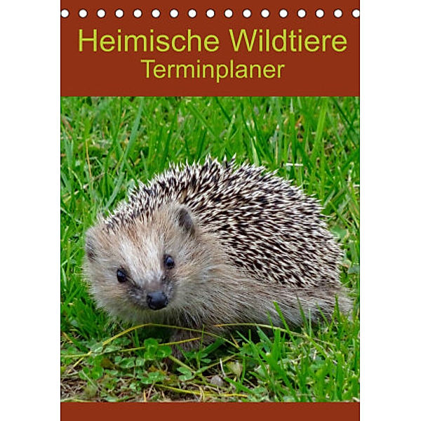 Heimische Wildtiere Terminplaner (Tischkalender 2022 DIN A5 hoch), Kattobello