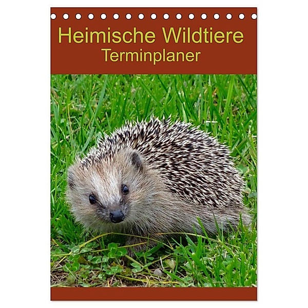 Heimische Wildtiere Terminplaner (Tischkalender 2024 DIN A5 hoch), CALVENDO Monatskalender, Kattobello