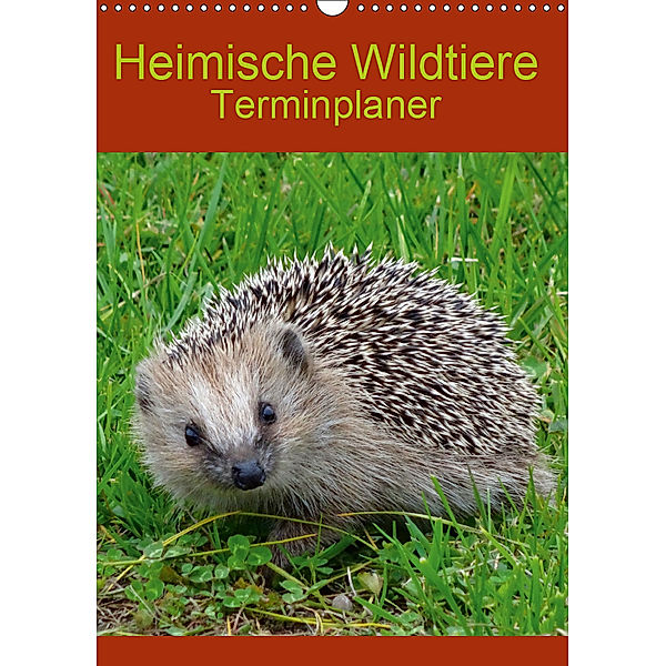 Heimische Wildtiere Terminplaner (Wandkalender 2019 DIN A3 hoch), kattobello