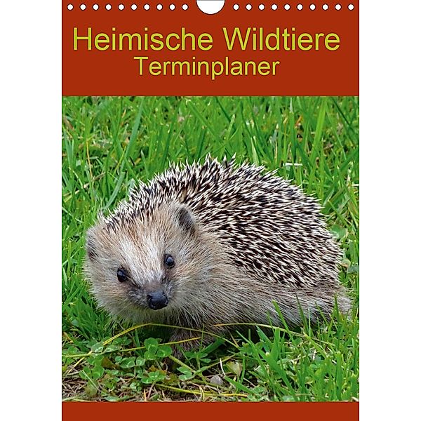 Heimische Wildtiere Terminplaner (Wandkalender 2021 DIN A4 hoch), Kattobello