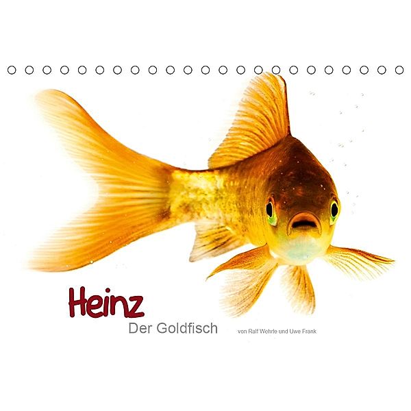 Heinz - Der Goldfisch (Tischkalender 2021 DIN A5 quer), Ralf Wehrle & Uwe Frank www.blackwhite.de