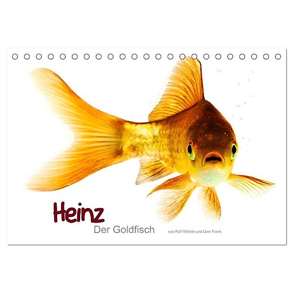 Heinz - Der Goldfisch (Tischkalender 2024 DIN A5 quer), CALVENDO Monatskalender, Ralf Wehrle & Uwe Frank www.blackwhite.de