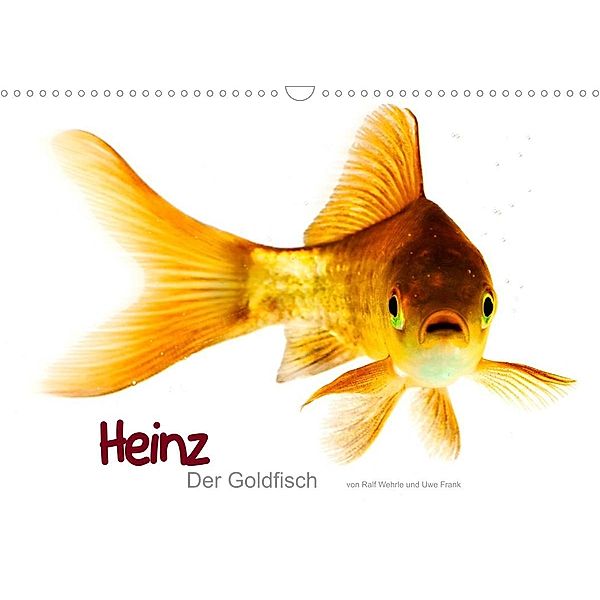 Heinz - Der Goldfisch (Wandkalender 2023 DIN A3 quer), Ralf Wehrle & Uwe Frank www.blackwhite.de