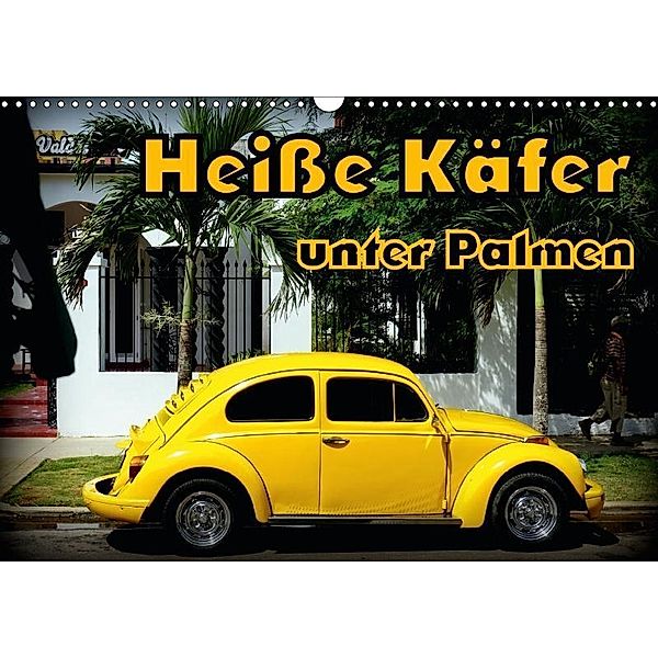 Heiße Käfer unter Palmen (Wandkalender 2017 DIN A3 quer), Henning von Löwis of Menar