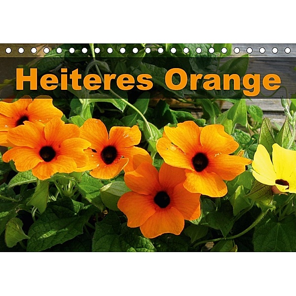 Heiteres Orange (Tischkalender 2020 DIN A5 quer), Linda Schilling