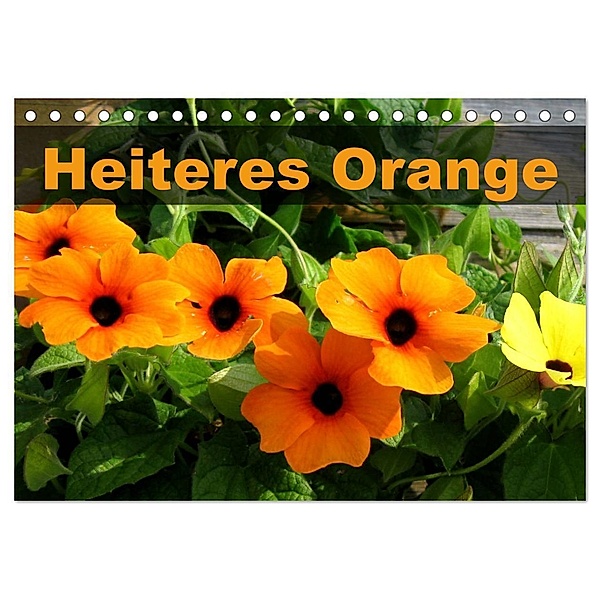 Heiteres Orange (Tischkalender 2024 DIN A5 quer), CALVENDO Monatskalender, Linda und Michael Schilling