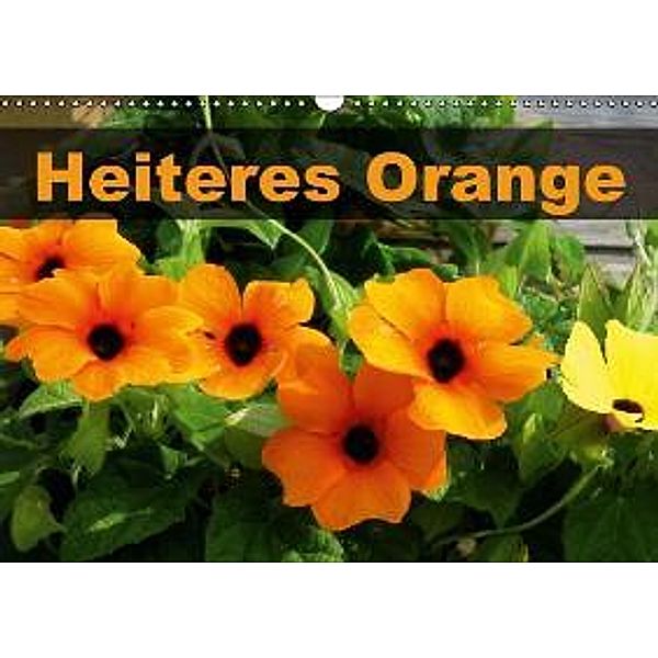 Heiteres Orange (Wandkalender 2015 DIN A3 quer), Linda Schilling und Michael Wlotzka