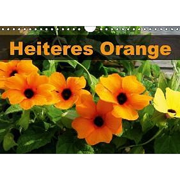 Heiteres Orange (Wandkalender 2015 DIN A4 quer), Linda Schilling und Michael Wlotzka