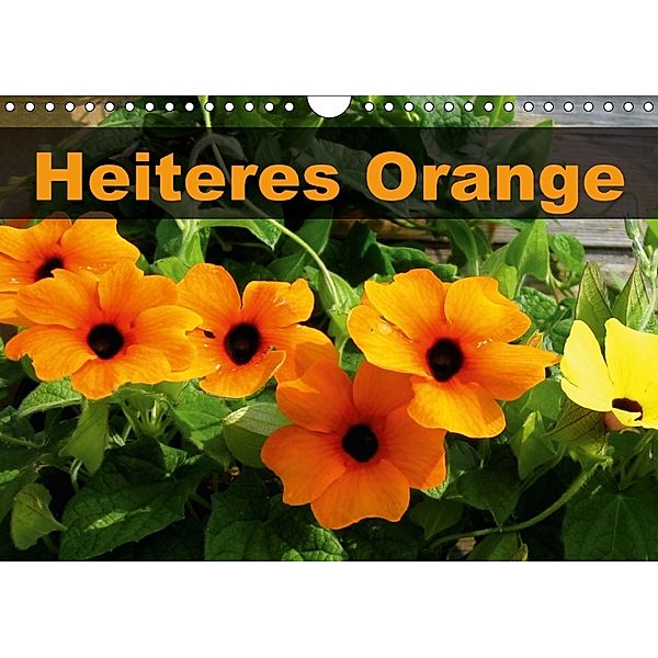 Heiteres Orange (Wandkalender 2018 DIN A4 quer), Linda Schilling und Michael Wlotzka