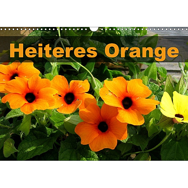 Heiteres Orange (Wandkalender 2023 DIN A3 quer), Linda Schilling