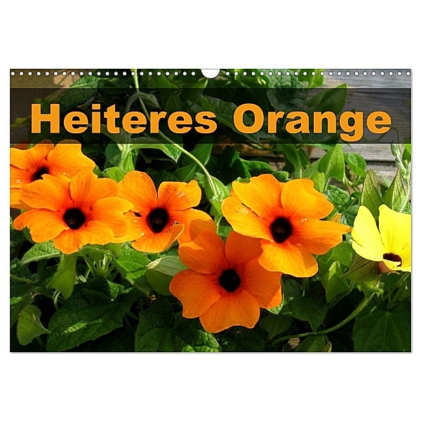 Heiteres Orange (Wandkalender 2024 DIN A3 quer), CALVENDO Monatskalender, Linda und Michael Schilling