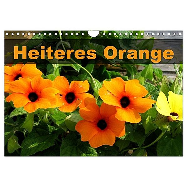 Heiteres Orange (Wandkalender 2024 DIN A4 quer), CALVENDO Monatskalender, Linda und Michael Schilling