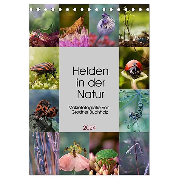 Helden in der Natur (Tischkalender 2024 DIN A5 hoch), CALVENDO Monatskalender, Calvendo, Joanna Grodner-Buchholz