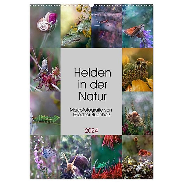 Helden in der Natur (Wandkalender 2024 DIN A2 hoch), CALVENDO Monatskalender, Joanna Grodner-Buchholz